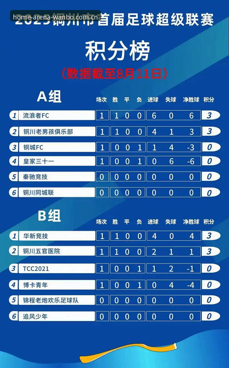 万搏体育平台主场积分榜CN实用指南：从数据盲到数据控的5个必备技能